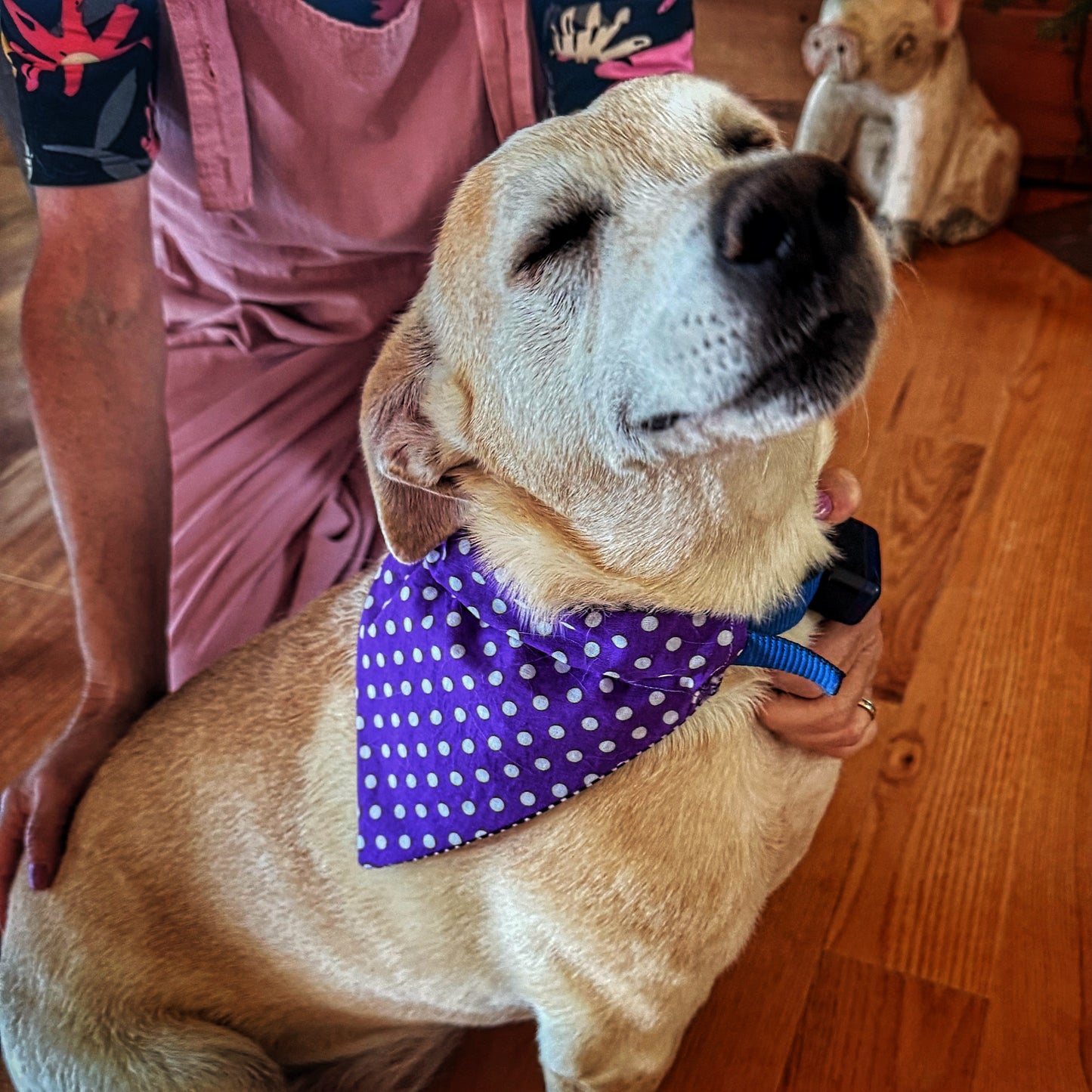 Large Bandana