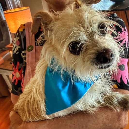 Small Bandana