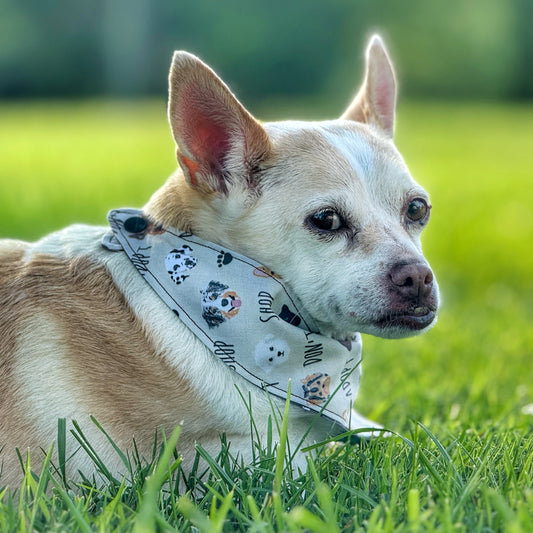 Medium Bandana