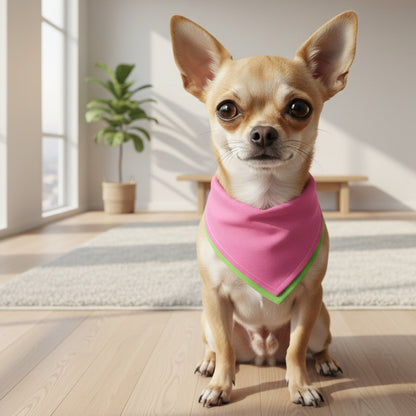 A pink reusable cloth towel or bandana on a chihuahua.